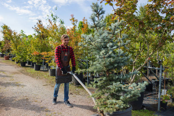 Shelley, ID Tree Service Company